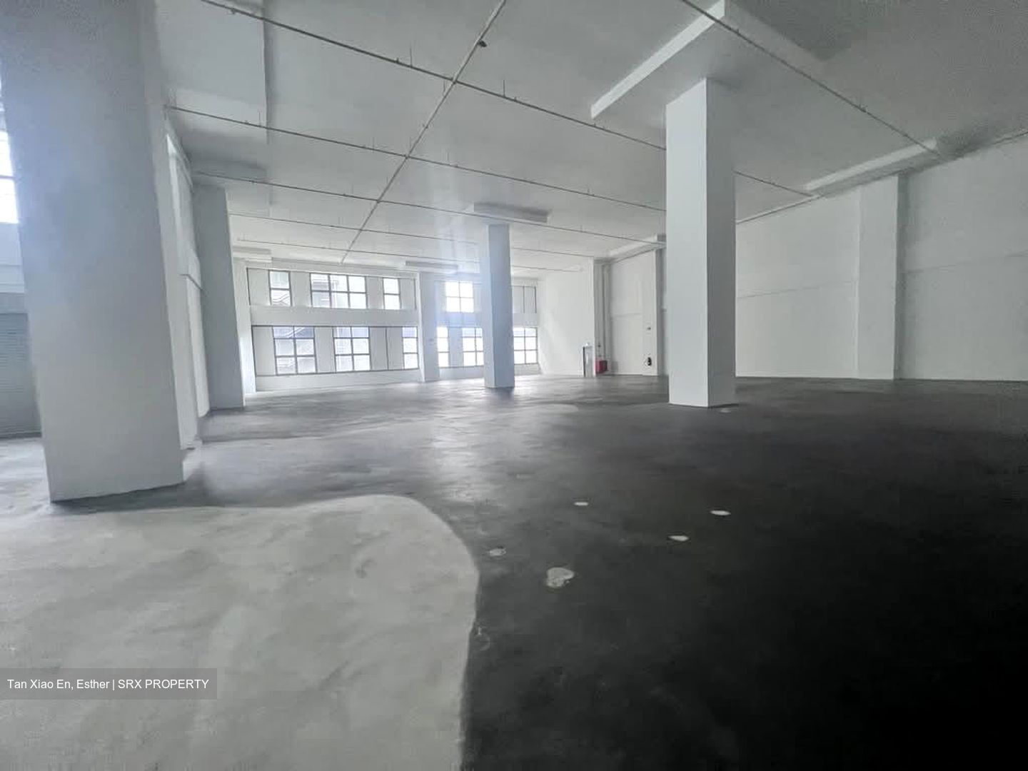 Pioneer Road (D22), Factory #548791441